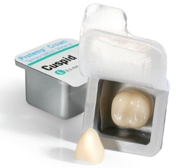 Protemp Crown Temporization Material (3M)