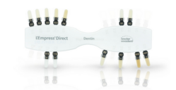 IPS Empress Direct Shade Guide Dentin (Ivoclar)