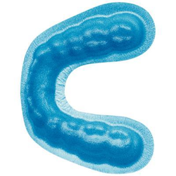 Centrays Fluoride Tray (Oral-B)