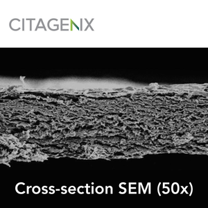 Neomem Flexplus Barrier Membrane Xenograft Resorbable (Citagenix)