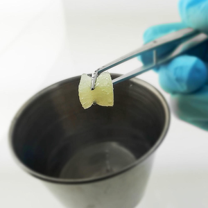 PentOs OI Sponge (Citagenix)