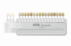 Vita Classical Shade Guide W/Bleach Shade Clip
